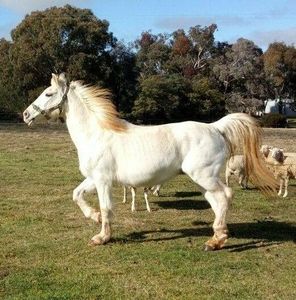 Meet your Posher, Michelle